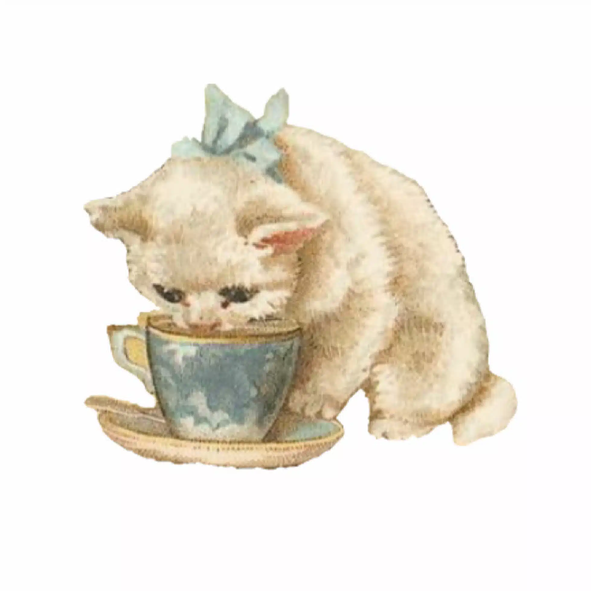 ふく