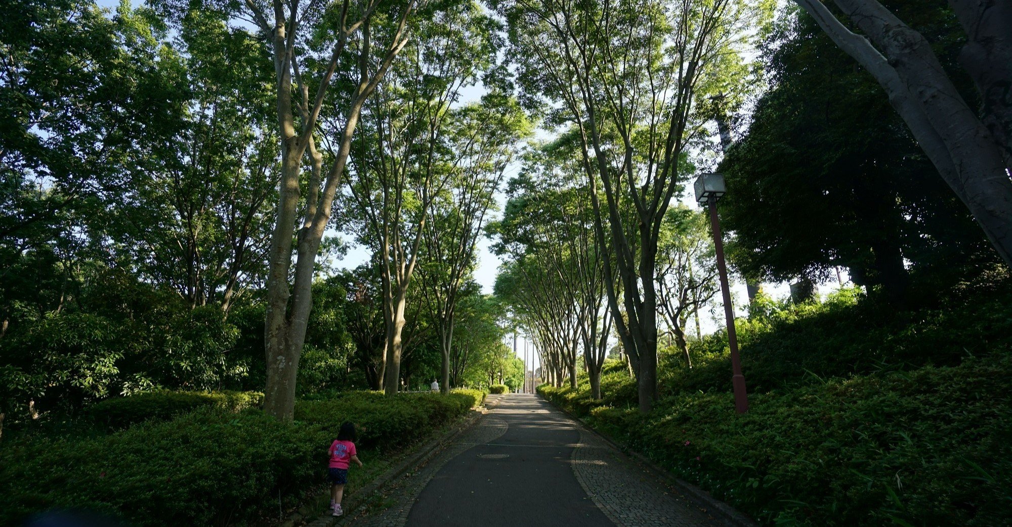 07 今川公園に行ってみた ぴん Note 07 今川公園に行ってみた ぴん Note