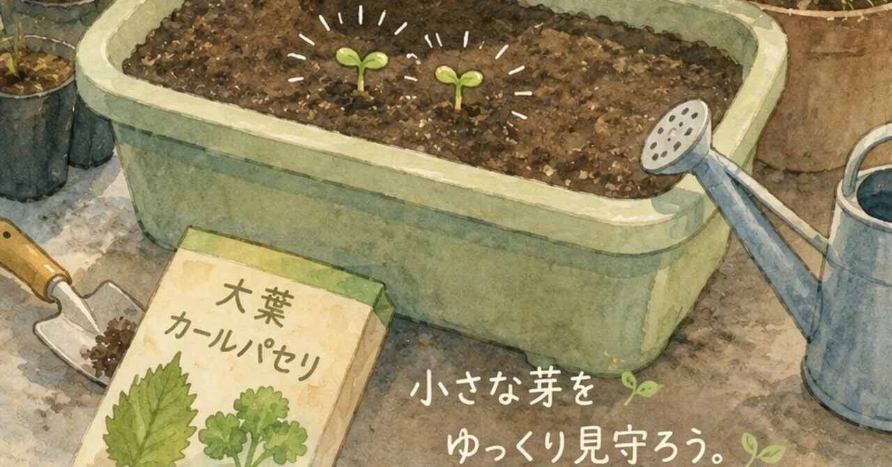 2週間経って、ようやく芽が出てきた｜めがねの整体師オギさん｜KNEAD店主