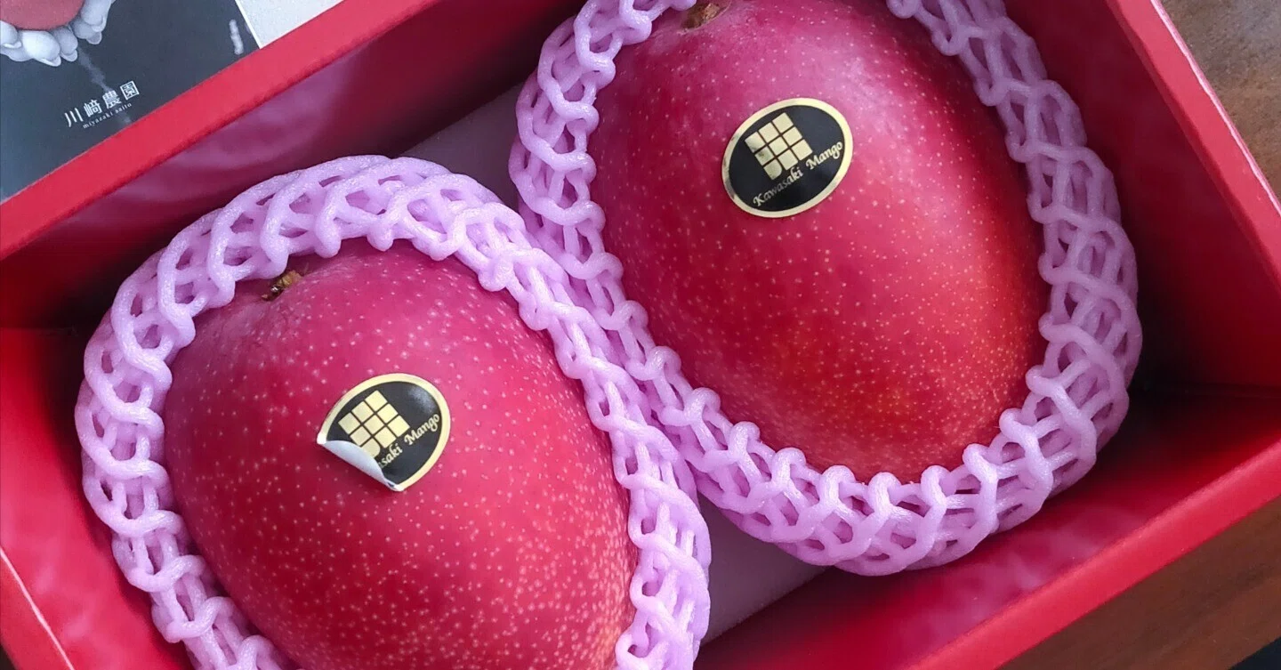 Mango様確認用 Kawasaki Farm's Miyazaki Ripe Mangoes Have Arrived (Furusato Nozei