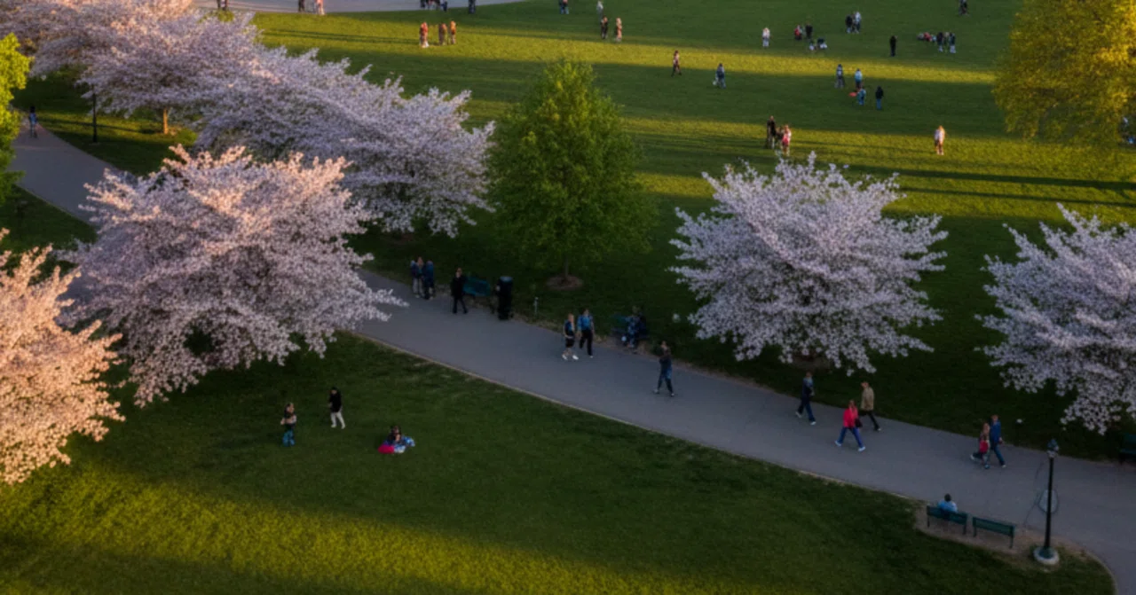 八幡 市民 スポーツ 公園