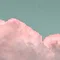 かいと