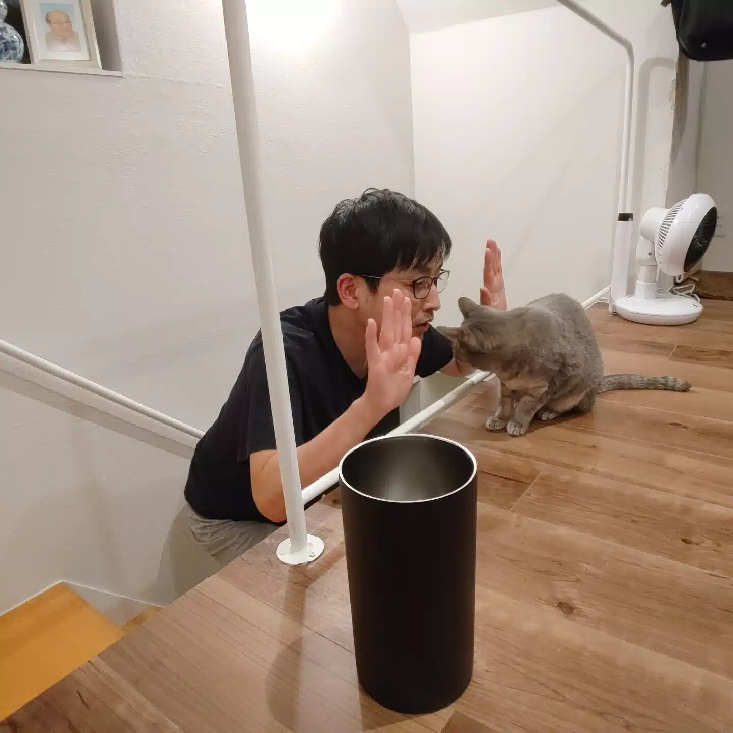 キャベツ(億)