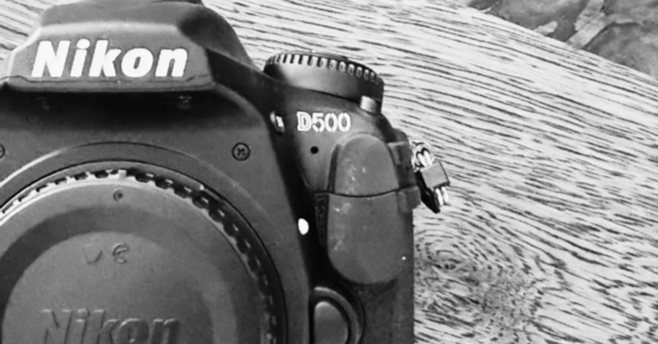 動体撮影を始めるならNikon D500が超オススメ！｜kenken