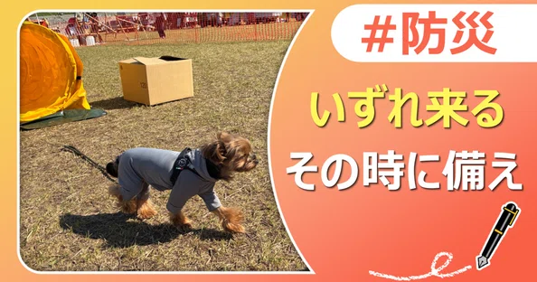 ペットの安心安全｜J:COM地域取材ノート