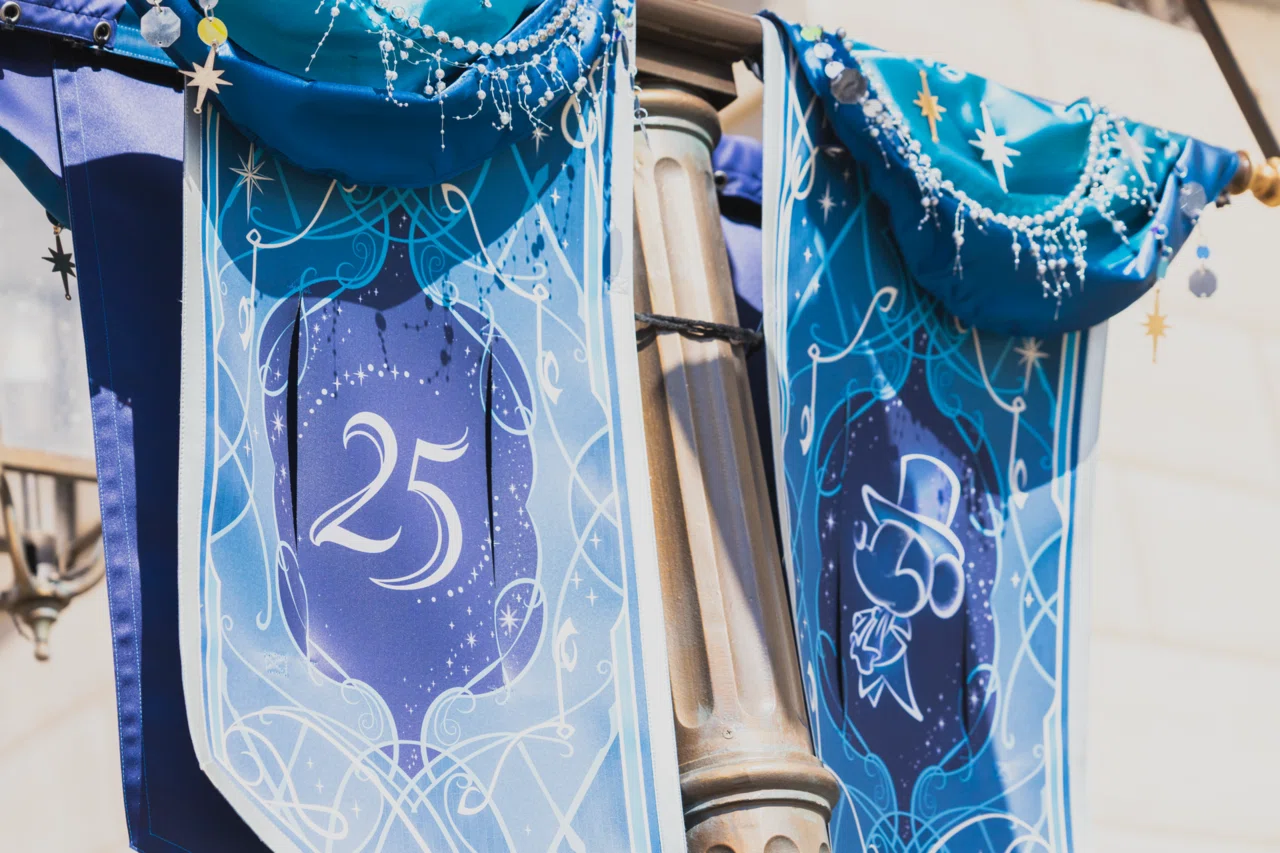 ディズニー】ディズニーシー25周年に参戦した話｜プラズマン