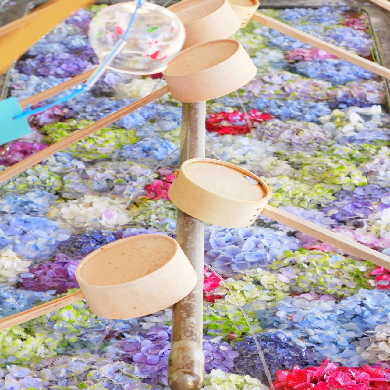 春日神社 の花手水舎 まつこ Note