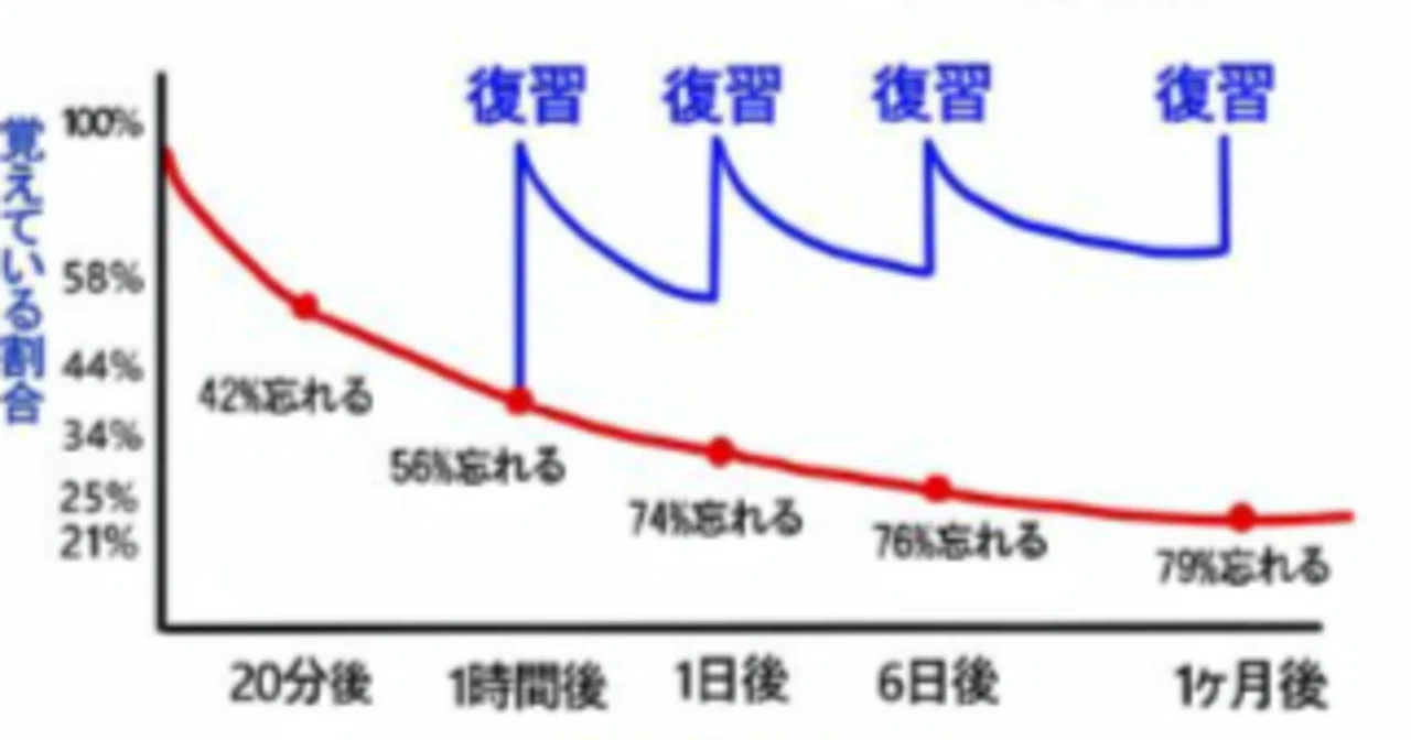 1日で74%忘れるは嘘の情報!?【エビングハウスの忘却曲線について】|halon(はろん)