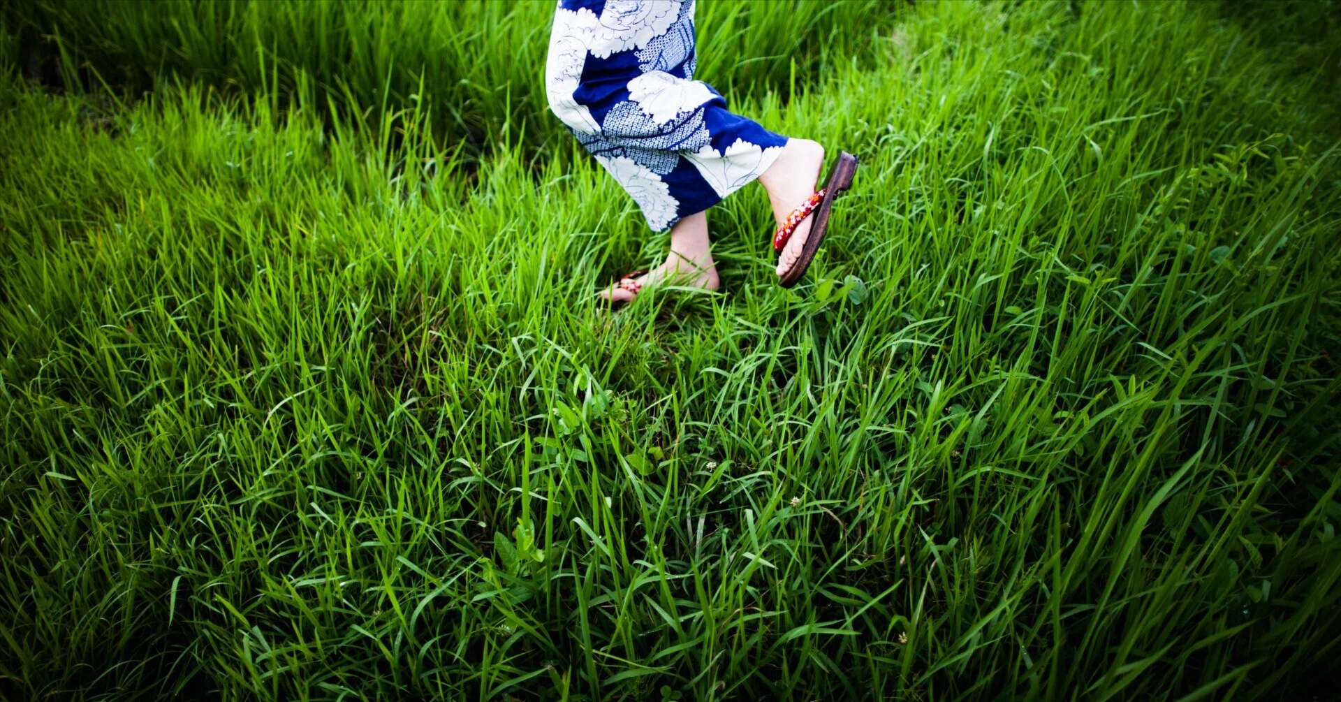 If you want to turn 'photography' into 'art'｜kimura noriaki