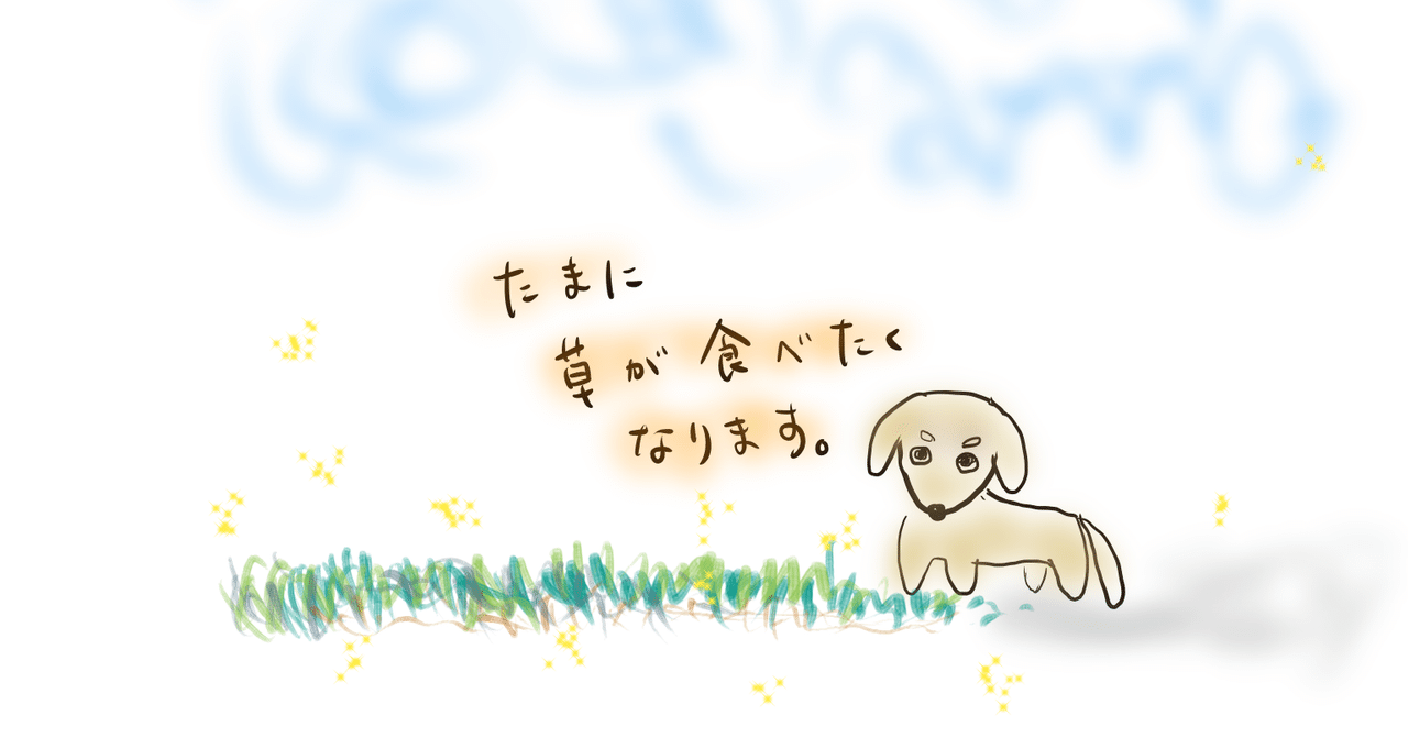 犬が道草を必死で食べるときの傾向と対処法 我が家の場合 瑛璃 えり Note