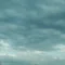 露