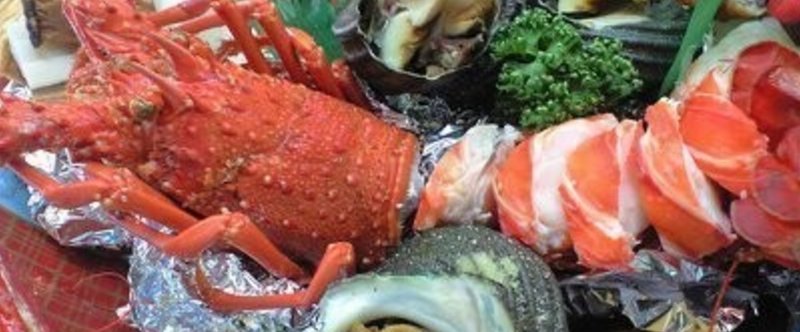愛すべき土佐弁たち おきゃく 望美 写真 3d弁当 Note
