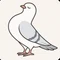 鳩胸そる