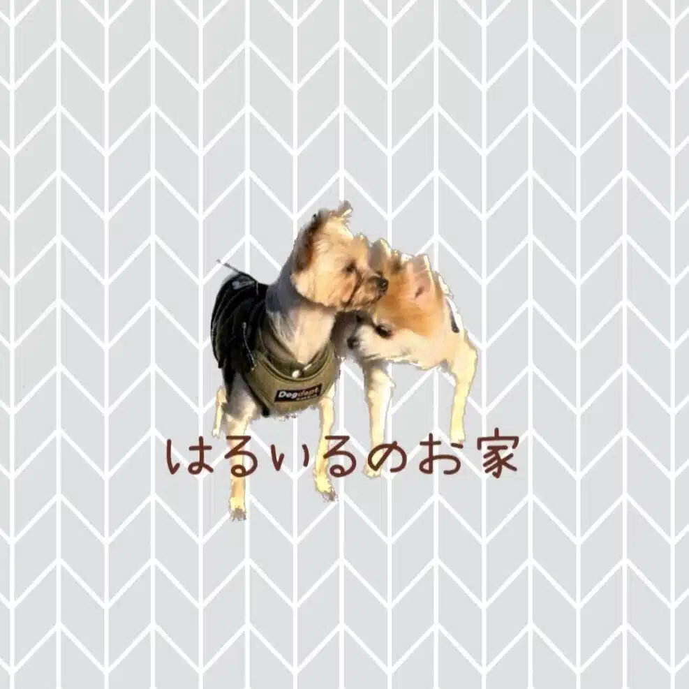 ぽん｜はるいるのお家