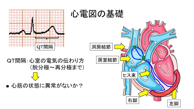 画像11