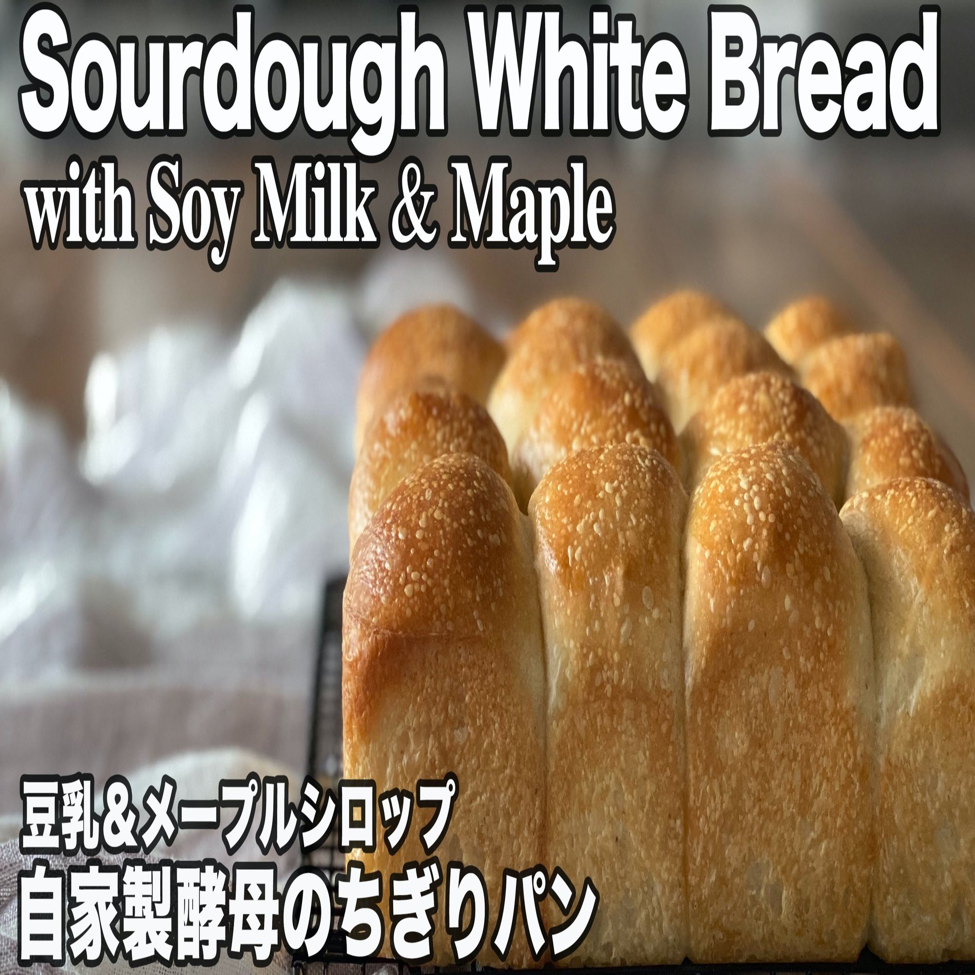 自家製酵母 ふわもちっ ちぎりパン 元種法で焼く豆乳 メープルパン White Bread With Soy Milk Maple 自家製天然酵母 Vegan In The Oven自家製酵母のパンと料理 Note