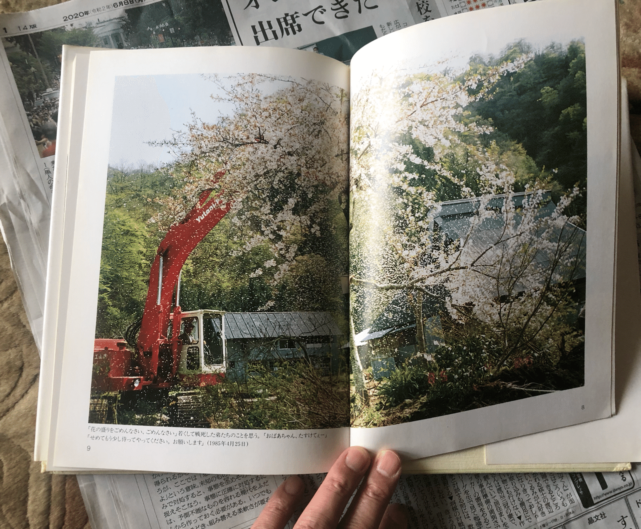 写真集 ありがとう徳山村 増山たづ子 影書房 / ピッカリコニカ