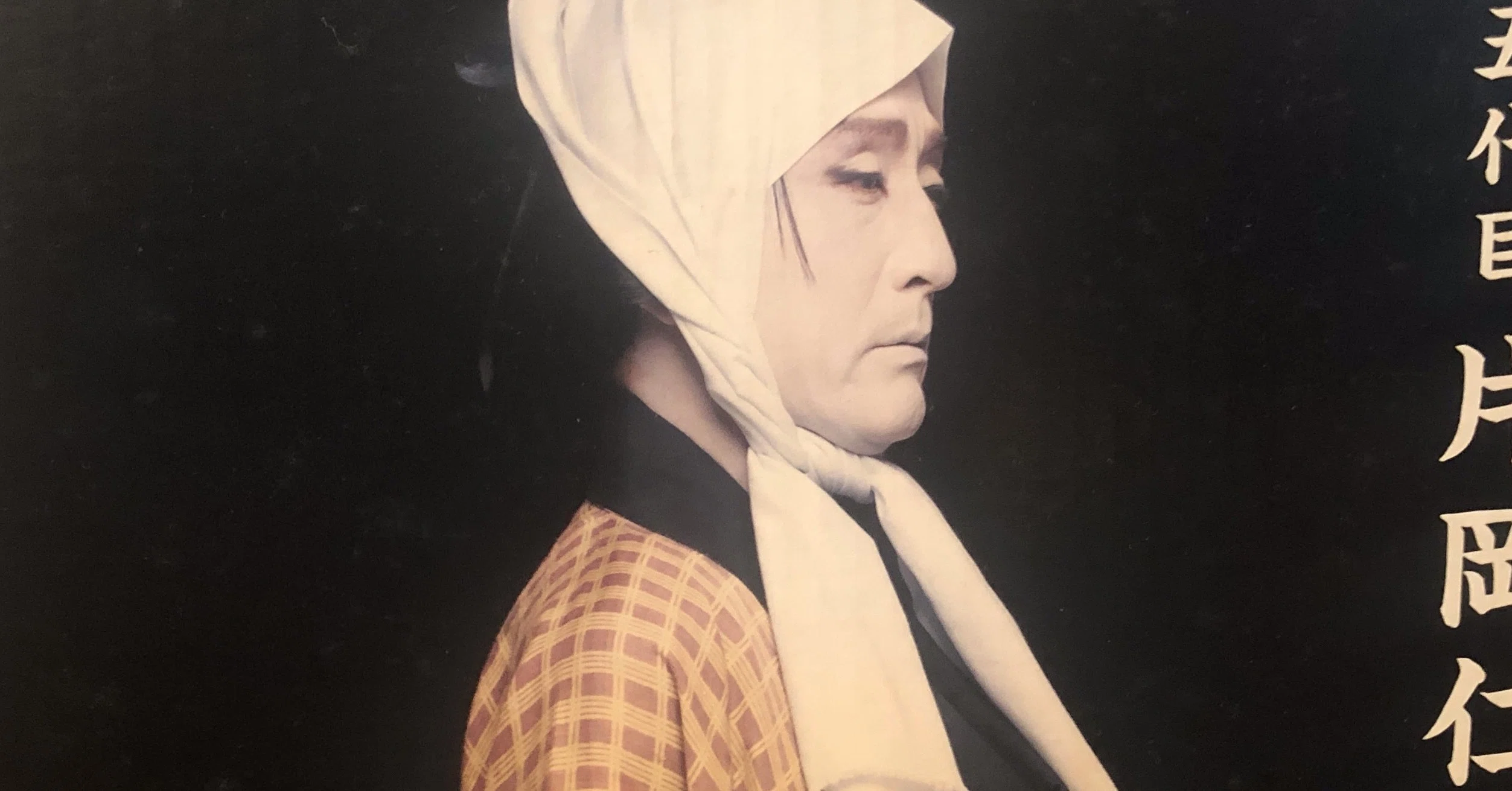 好きなアーティストの本」day4 「十五代目片岡仁左衛門」｜仲野マリ
