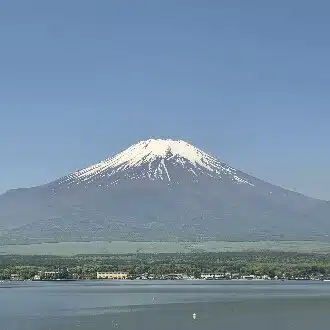 ひょっこり地球人