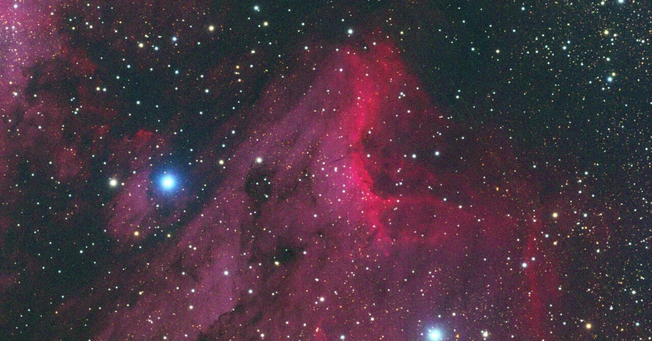 はくちょう座ペリカン星雲（TOA-130NFB 1stライト）｜Astro Dragon