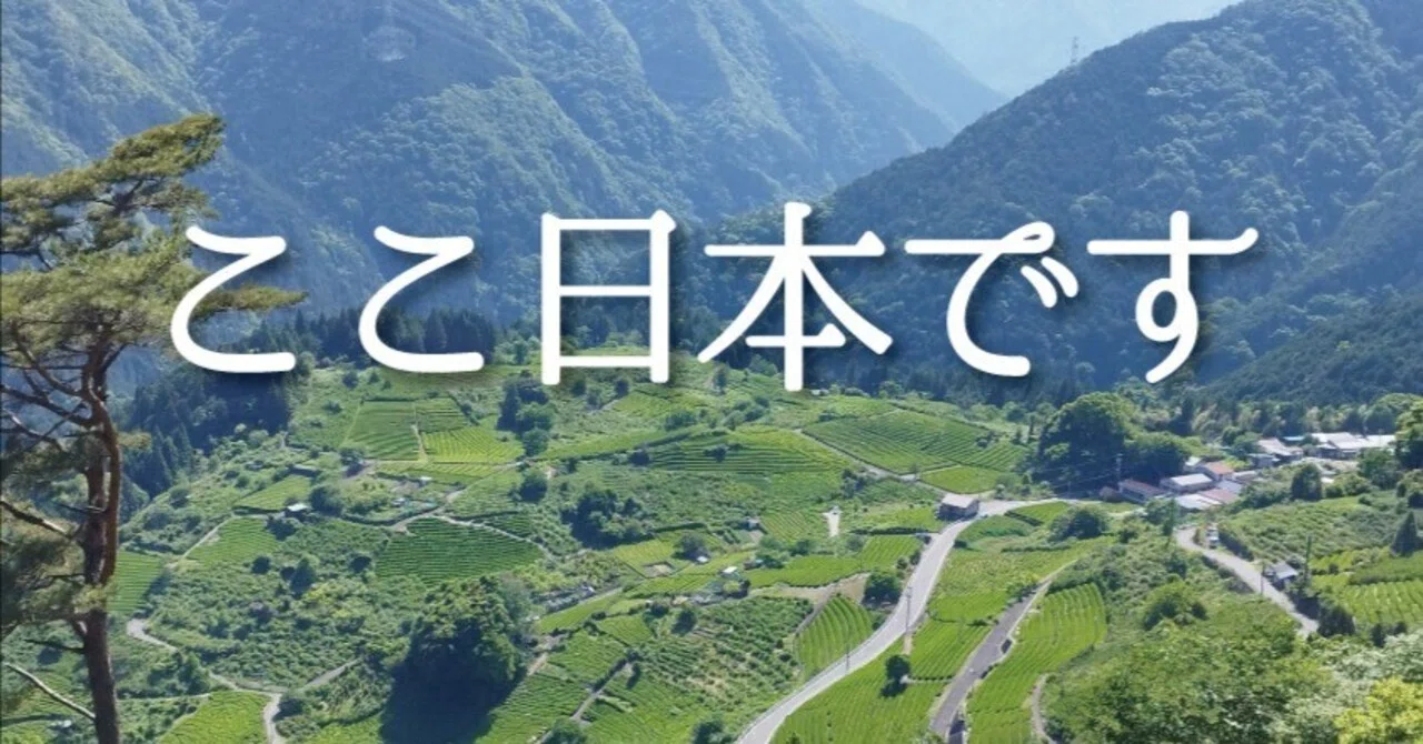 日本にも“マチュピチュ”があった。岐阜の山奥で出会った天空の茶畑
