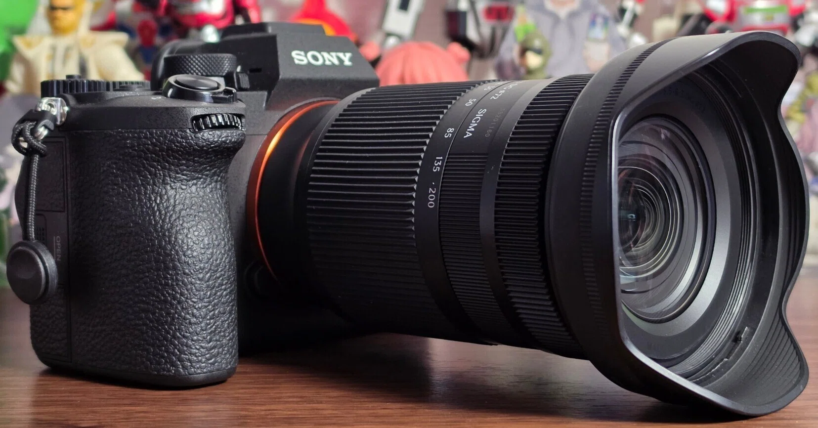ほぼコレ1本でOKなのか？SIGMA 20-200mm F3.5-6.3 DG Contemporaryを