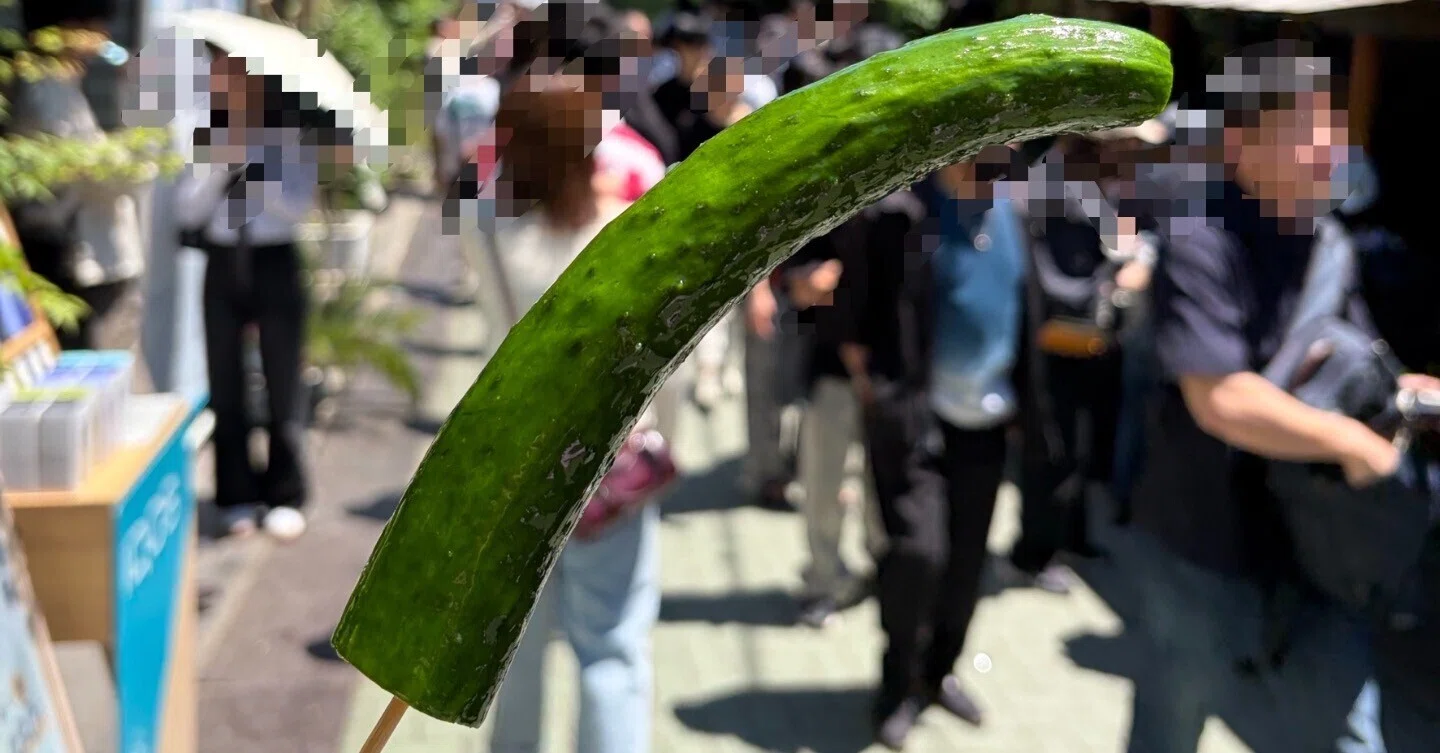 秩父のきゅうりも値上がりするのかな？｜shouko