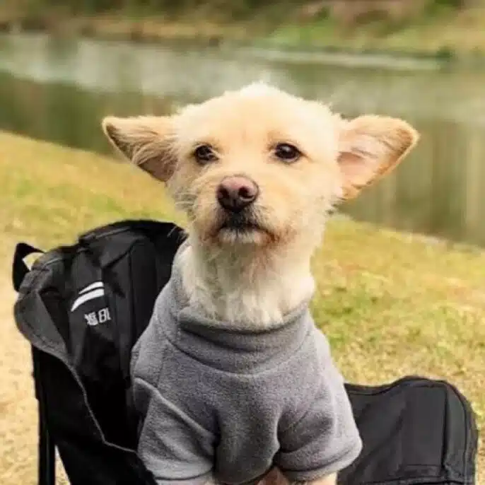 MICHIHIRO