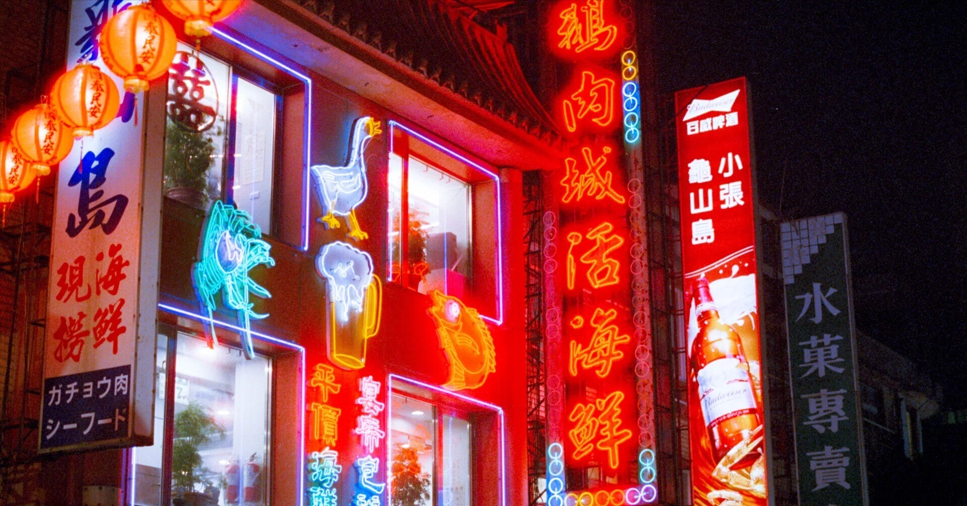 深夜特急に憧れて、フィルムカメラ片手に台湾を歩いた話。｜Kenta Mizune