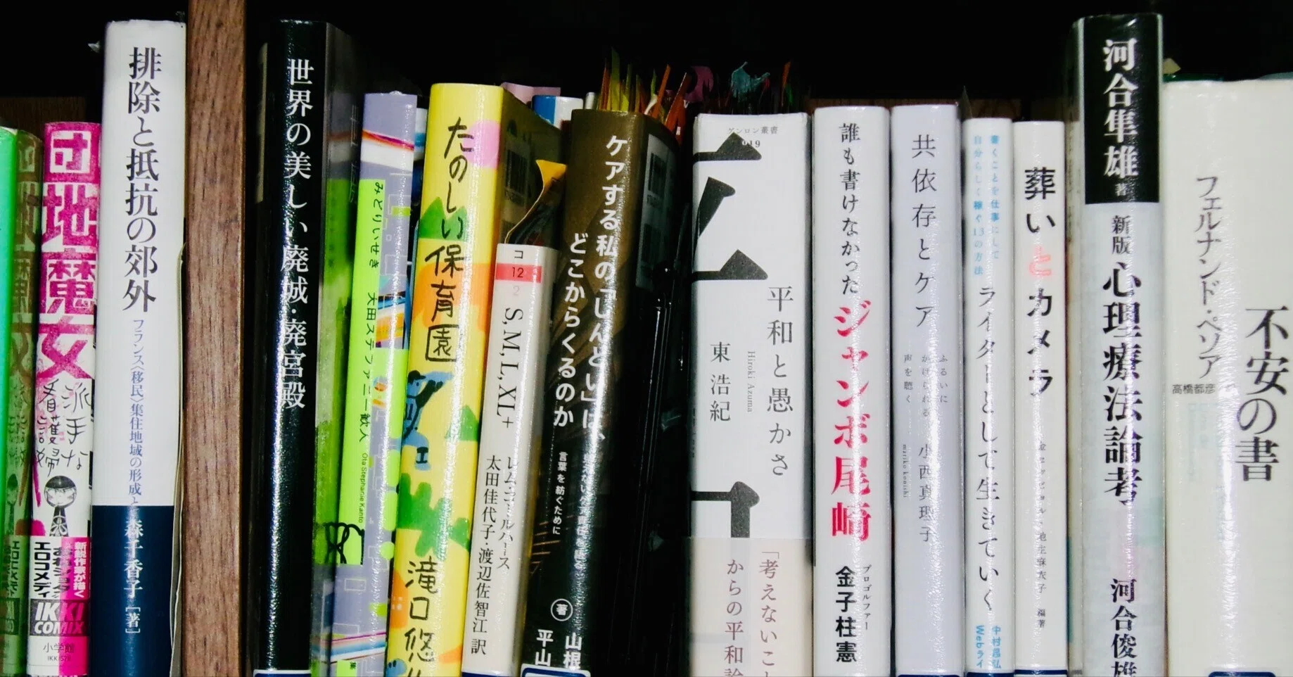 読書感想 『平和と愚かさ』 東浩紀 「とても大事で、とても難しいこと 
