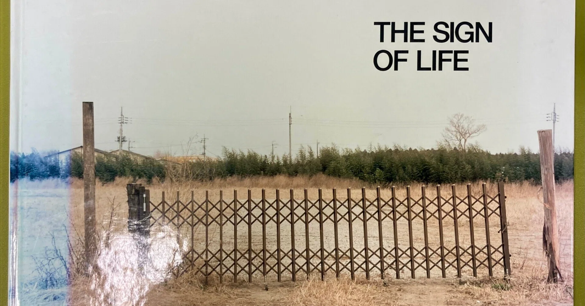 見えないものの輪郭について −清野 賀子 『THE SIGN OF LIFE 