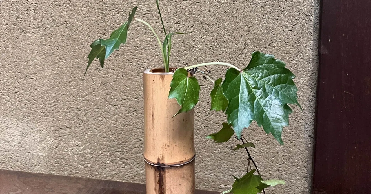 茶花3】蔦の垂らしにチャレンジ｜京とき