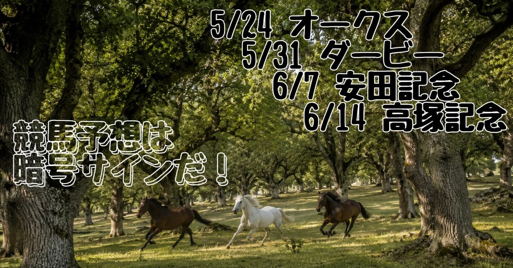 競馬 サイン 暗号