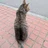 のちりょうこ