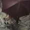 ヘノシタcomes on