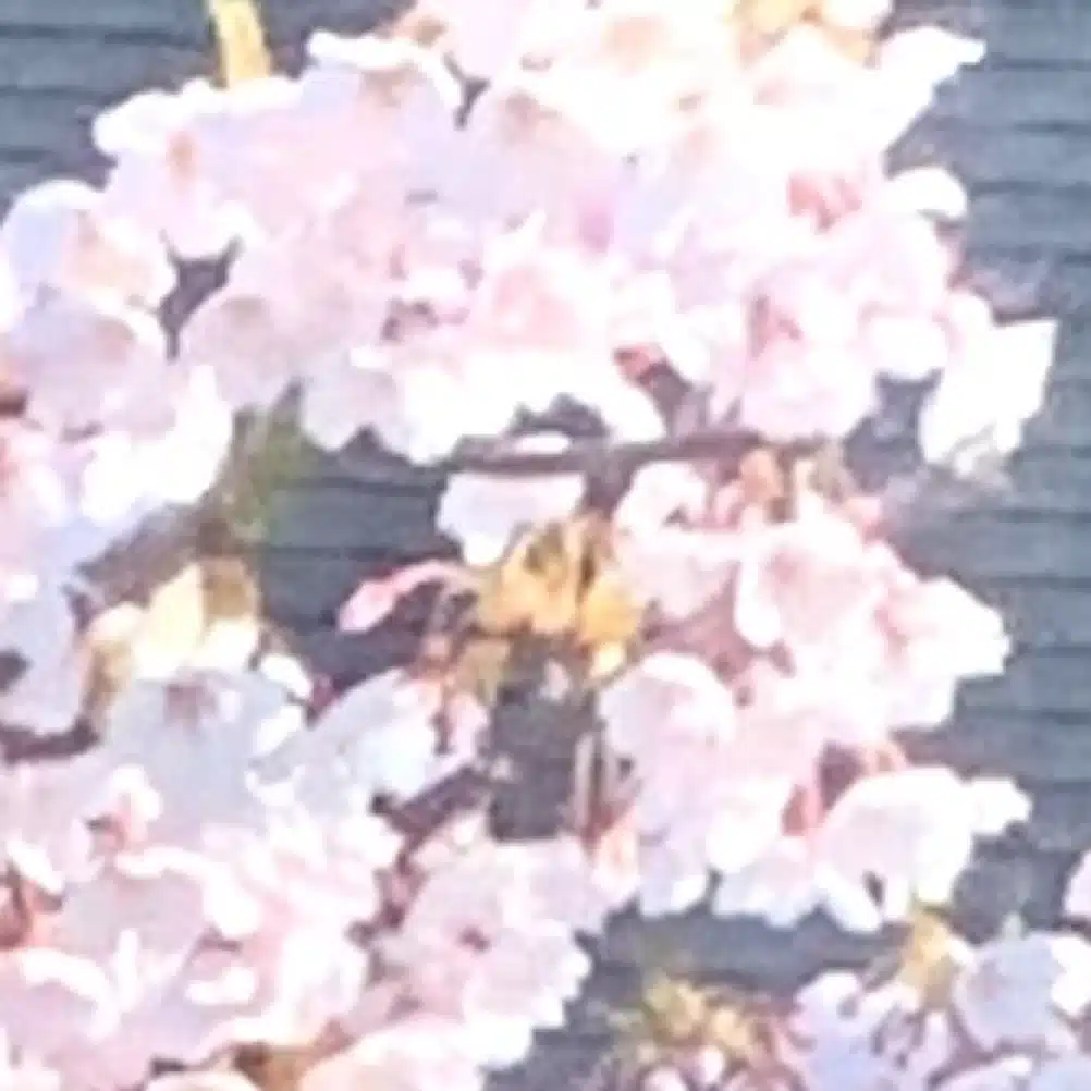 あさば