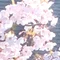 あさば