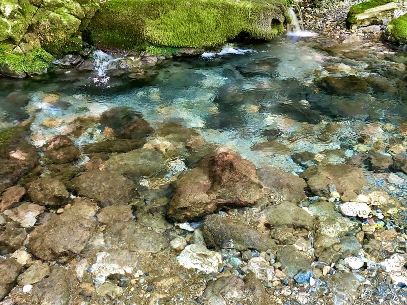 円原川で湧水を飲む小さな旅 岐阜県山県市 オゼキカナコ Note 円原川で湧水を飲む小さな旅 岐阜県山県市 オゼキカナコ Note