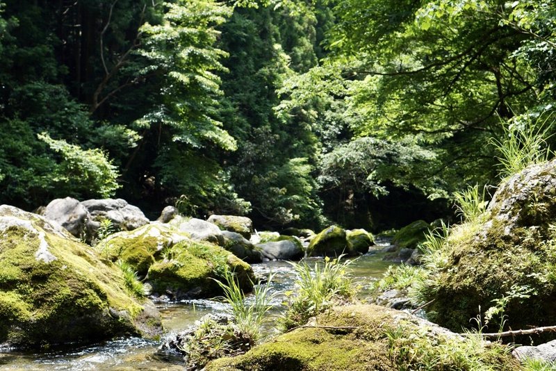 円原川で湧水を飲む小さな旅 岐阜県山県市 オゼキカナコ Note 円原川で湧水を飲む小さな旅 岐阜県山県市 オゼキカナコ Note