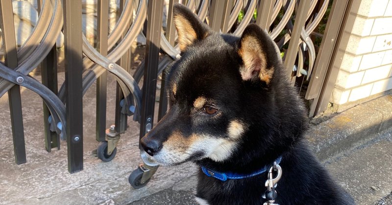 おんちゃんの짱 チャン 韓国語講座 Vol 3 おんちゃん Note