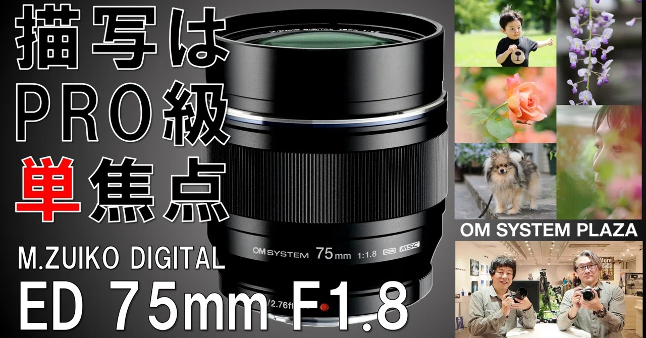 M.ZUIKO DIGITAL ED 75mm F1.8　フード付　美品最終値下 動画】なぜ今でも選ばれるのか？M.ZUIKO DIGITAL ED 75mm F1.8の魅力