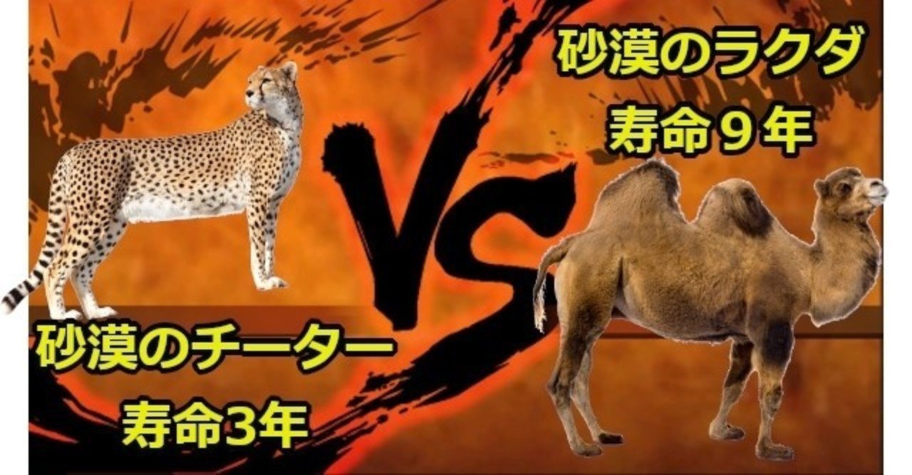Overwatch アナ 砂漠のチーターは3年生きるが ラクダは9年生きる いわし Note Overwatch アナ 砂漠のチーターは3年生きるが ラクダは9年生きる いわし Note
