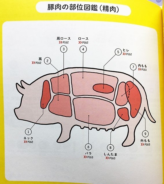 豚肉部位