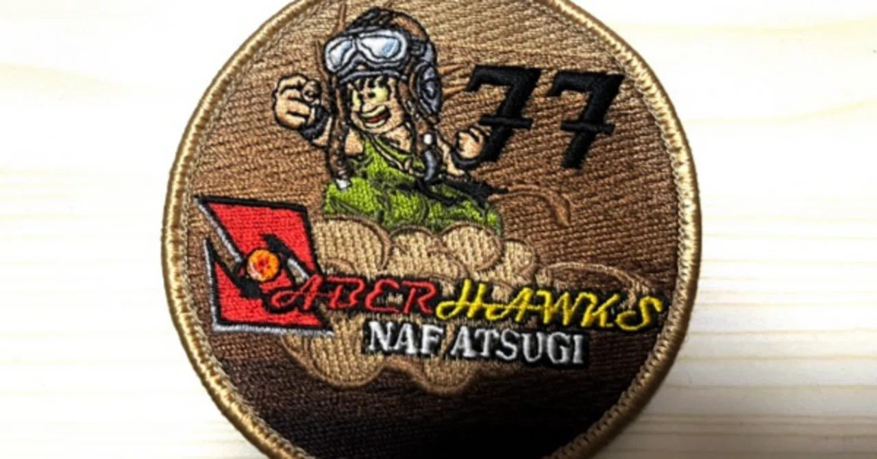 米軍払い下げワッペン ミリタリーワッペン TACTICAL AIR COMMAND 米軍払い下げ品の商品詳細