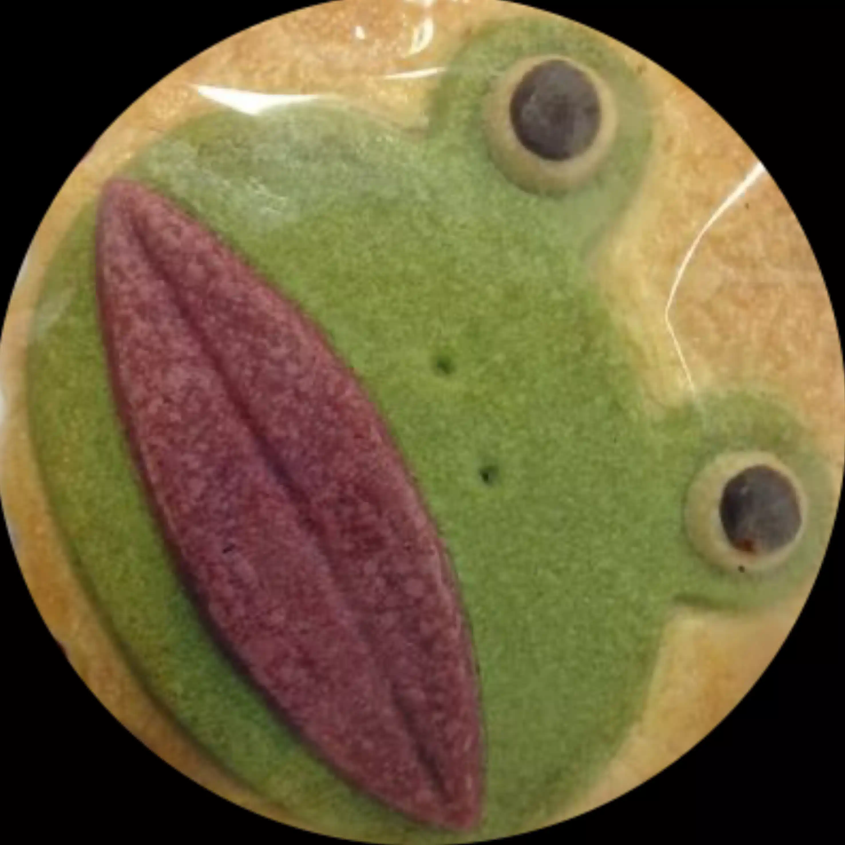 Piyopike5