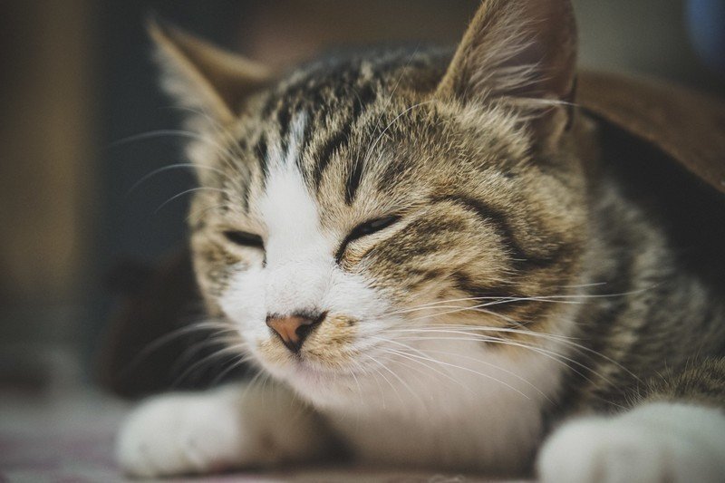 キャラクターを愛してもらうには 曲がらぬ信念を持たせよう 恒石涼平 ゲームシナリオライター Note