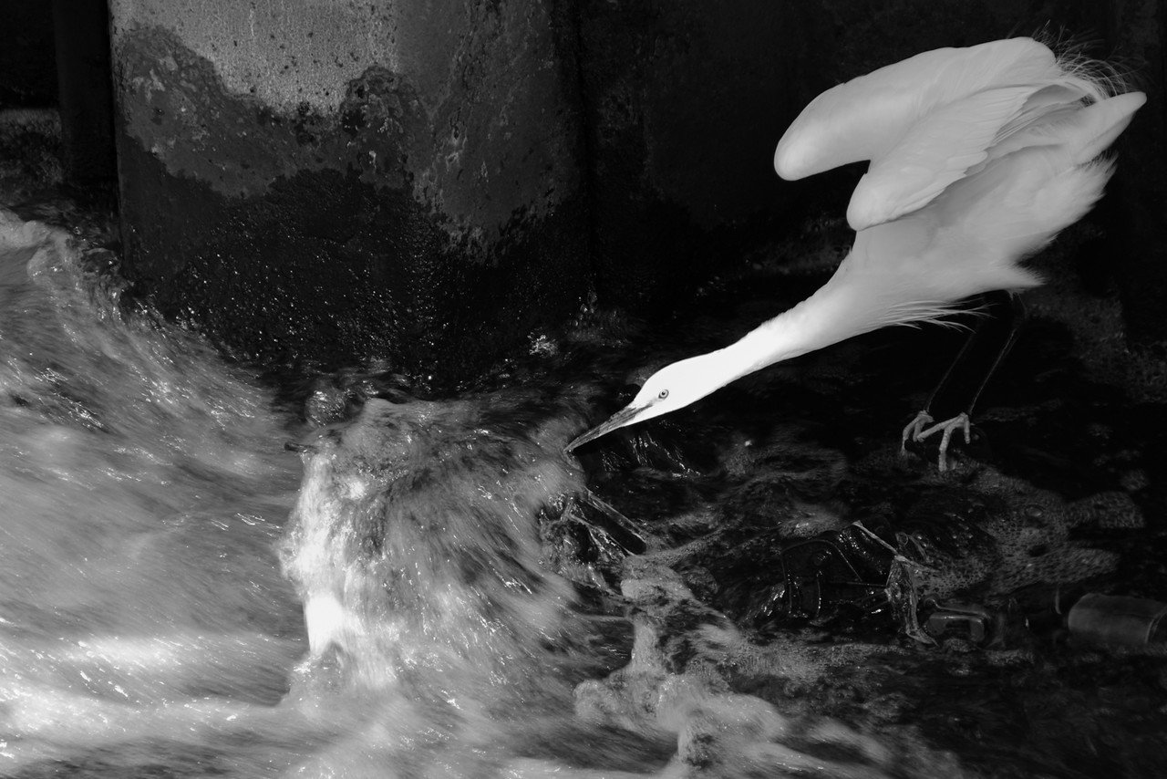 第6回 モノクロ写真 Keropow Note