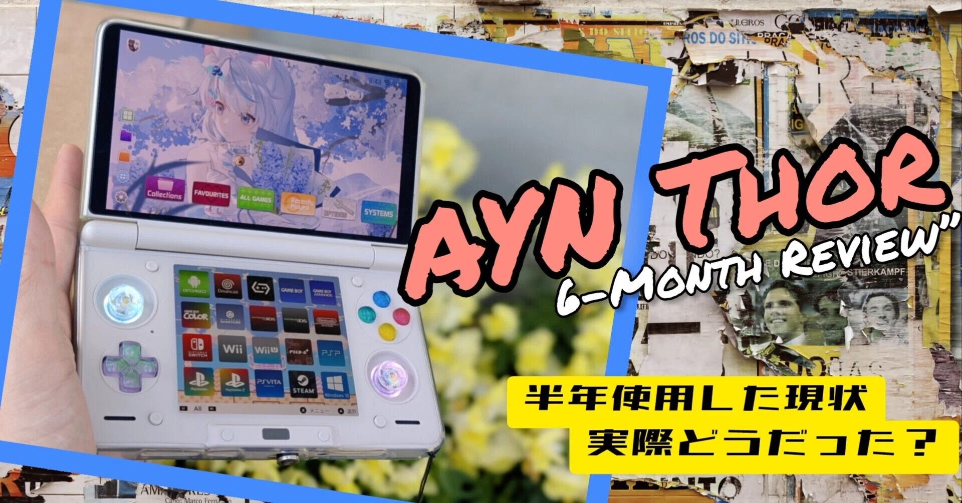 AYN Thor】半年使用した現状、実際どうだった！？【神機の今】｜きゅーさん
