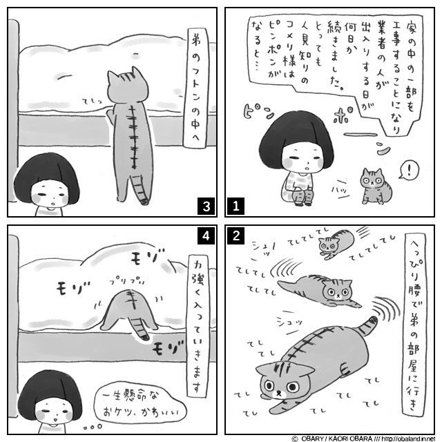 王様ねこ様コメリ様と召使いお姉ちゃんのゆるゆるゆる日記 16 4 1 惑星オバランド Note