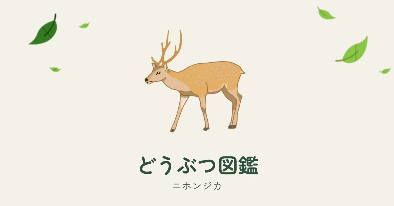 ニホンジカってどんな動物？日本の森に暮らすシカ｜horo-nin